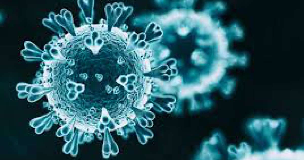 Coronavirus, in Puglia 85 nuovi casi: positivo il 5,63% dei tamponi